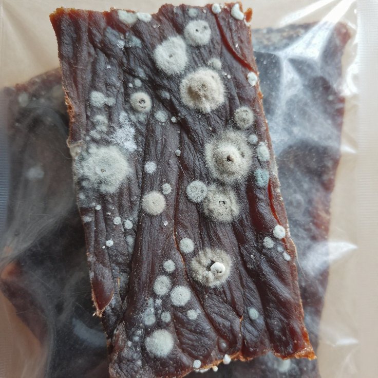 霉变样品
