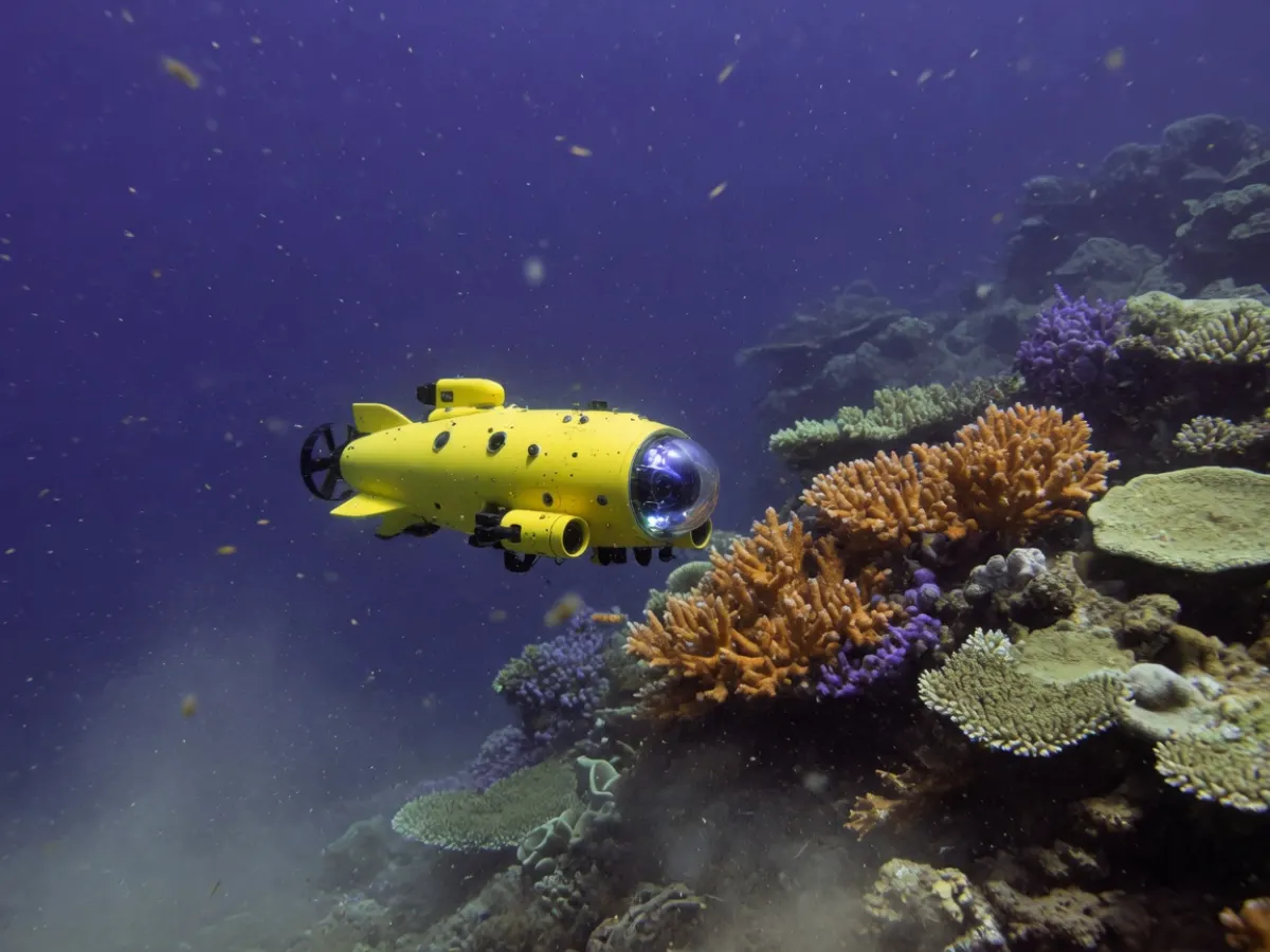 小型 AUV 相机舱掠过珊瑚