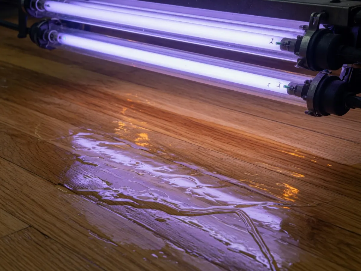 冷紫 UV 灯排在湿漆橡木板上空