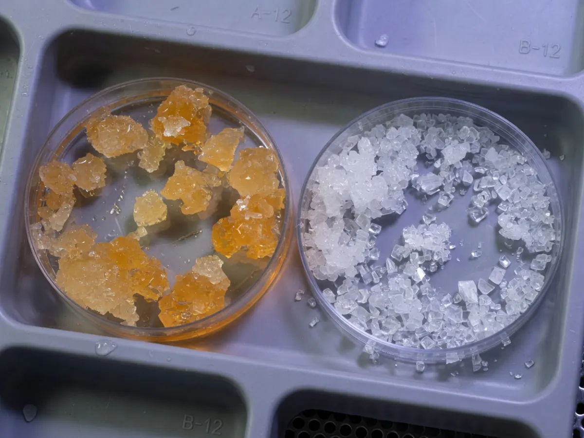 两皿结晶：自然蜜晶与更锋利的糖粒