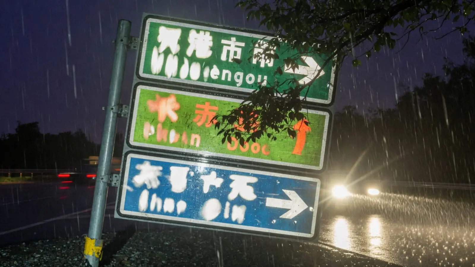 夜雨中略微倾斜的指路标志，树枝遮挡版面，车灯打在逆反射膜上