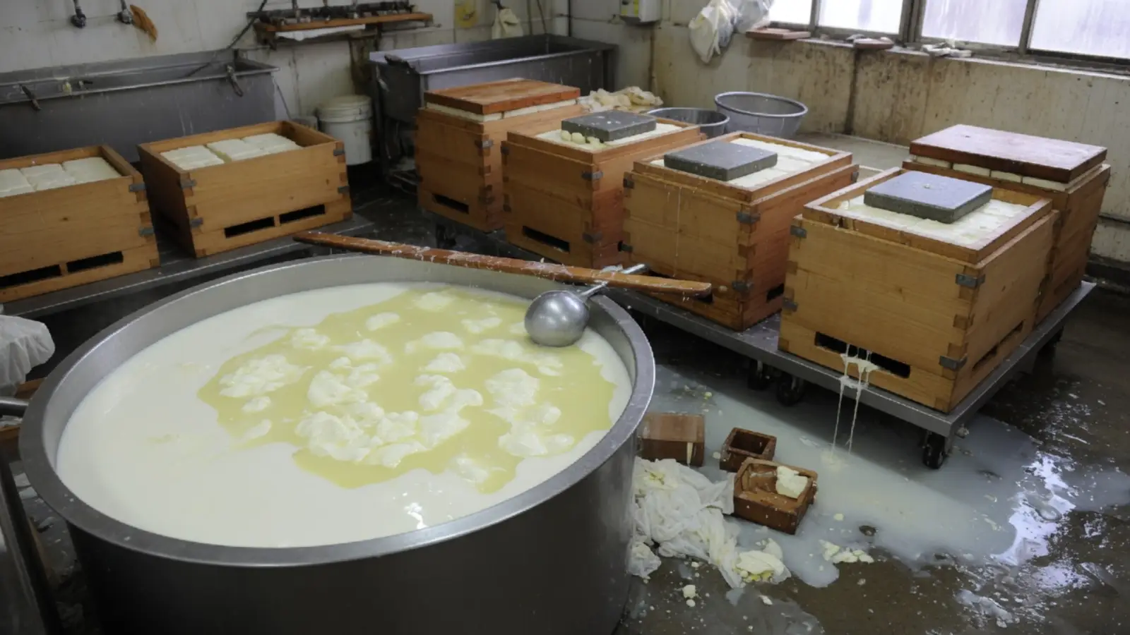 豆腐车间：豆浆点卤与压箱中的嫩白豆腐